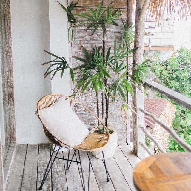 Billede af en altan med en flot pileflet stol og en palme plante