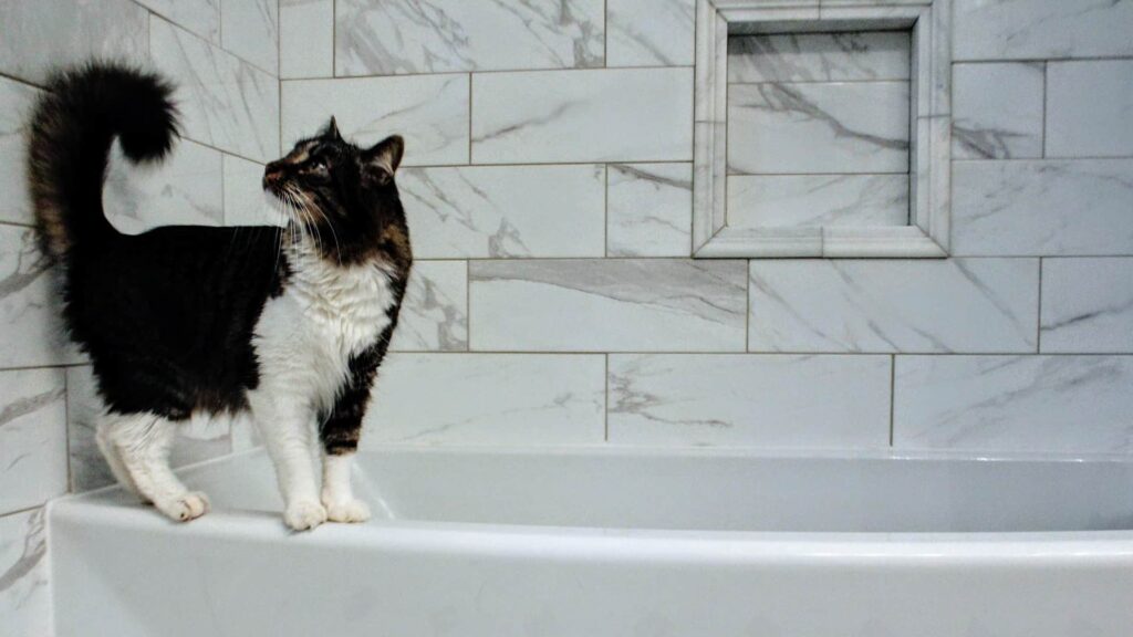 Flot badeværelse med hvide badeværelsesfliser i marmor og en sort/hvid kat der står på kanten af badekaret. 